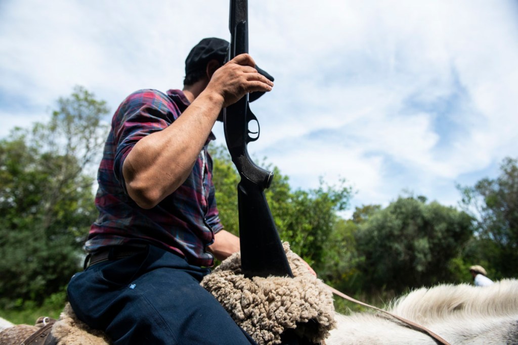 Foto: Santiago Mazzarovich