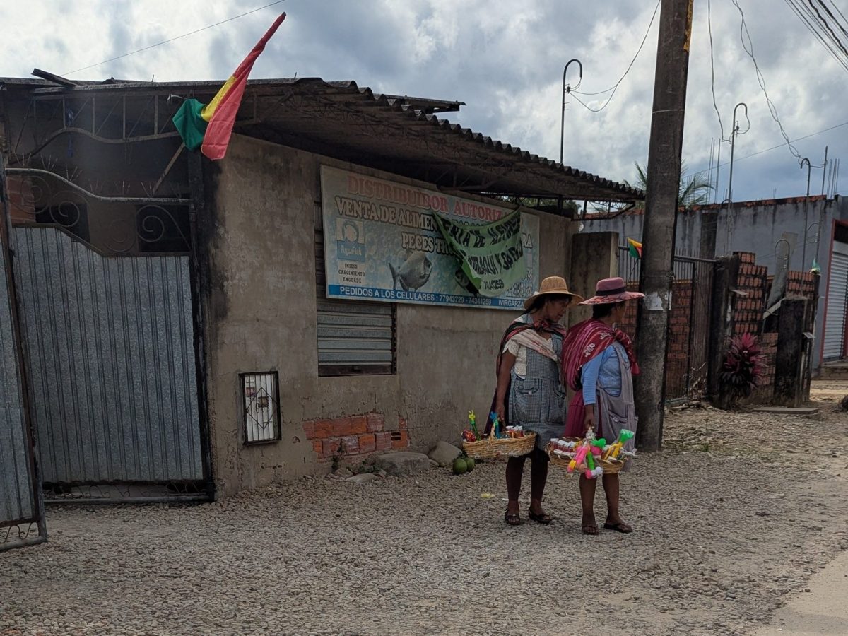 Elecciones en Bolivia